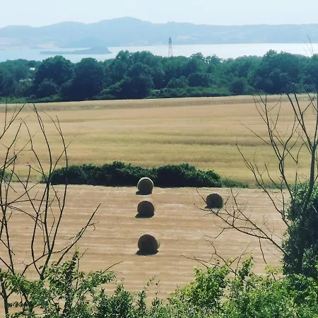 فيلة Domus Nirale