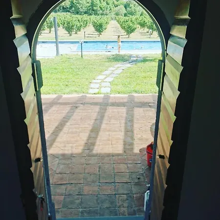 Domus Nirale Villa Bagnoregio