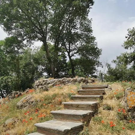 Domus Nirale باغنوريغيو