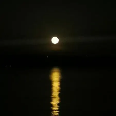 فيلة Domus Nirale باغنوريغيو