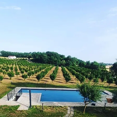 Domus Nirale Villa
