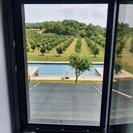 فيلة Domus Nirale