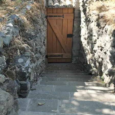 Vila Domus Nirale *