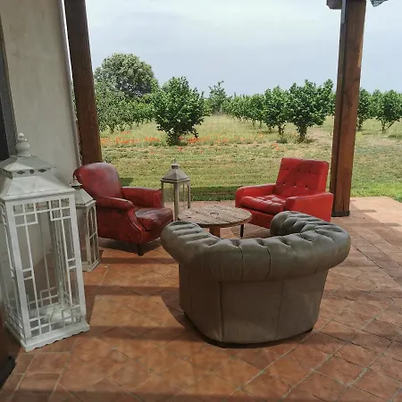 Domus Nirale * باغنوريغيو