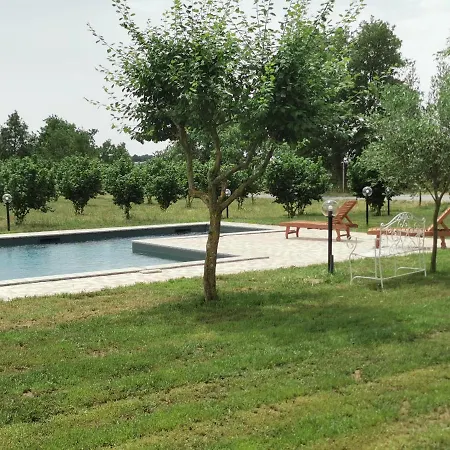 Domus Nirale Vila