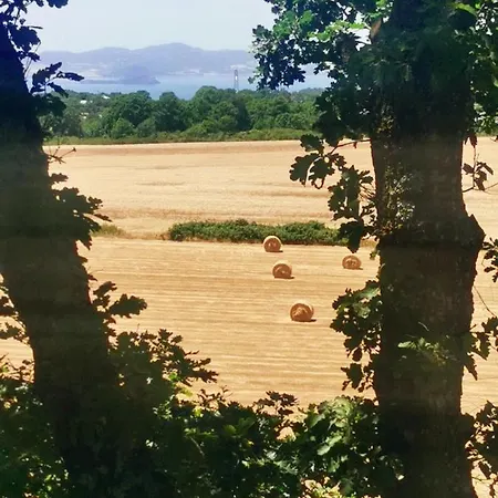 Domus Nirale باغنوريغيو