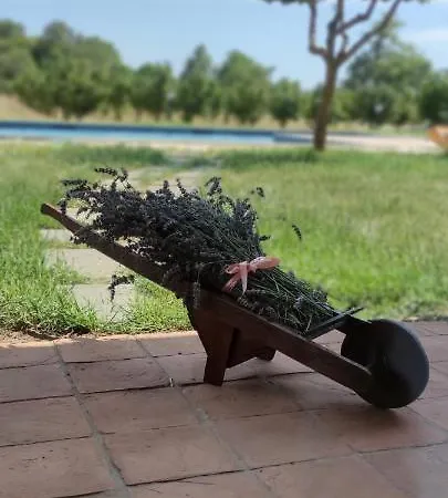 Domus Nirale باغنوريغيو