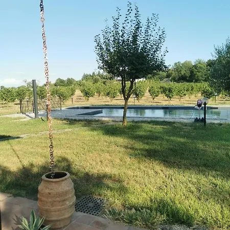 Domus Nirale باغنوريغيو