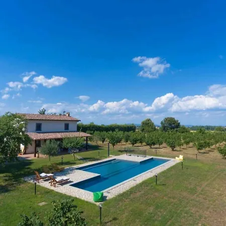 Domus Nirale Villa
