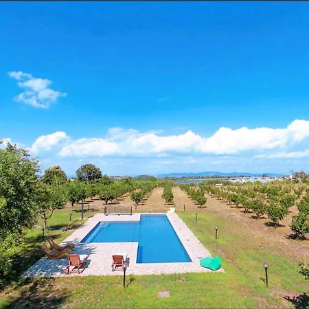 Domus Nirale * باغنوريغيو