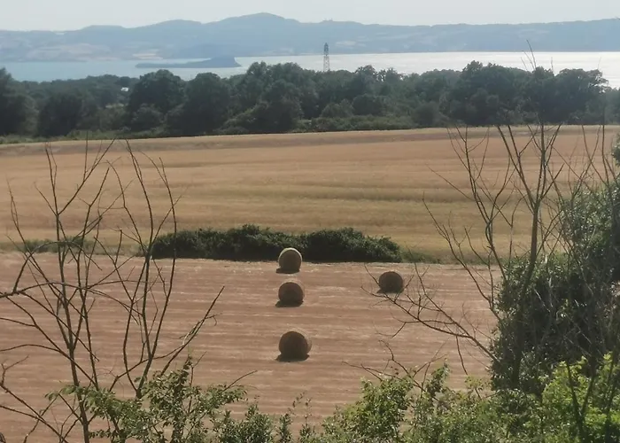 Domus Nirale * Bagnoregio