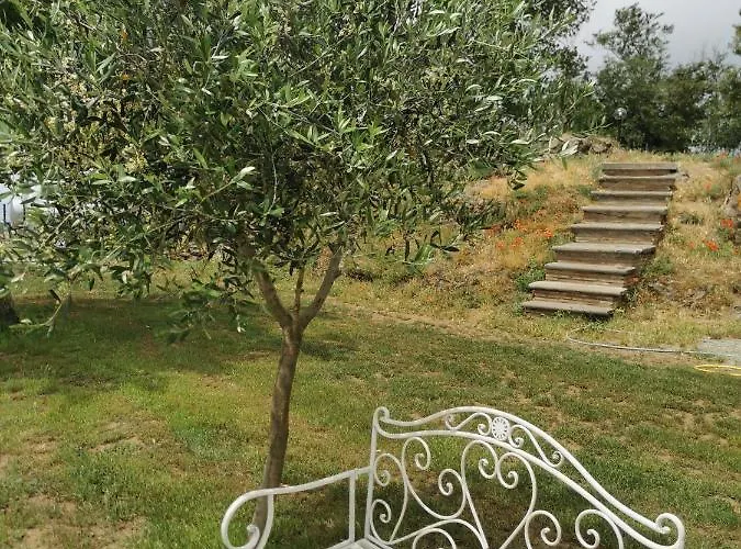 Domus Nirale * Bagnoregio