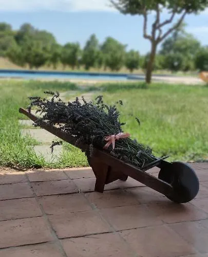 Domus Nirale Bagnoregio