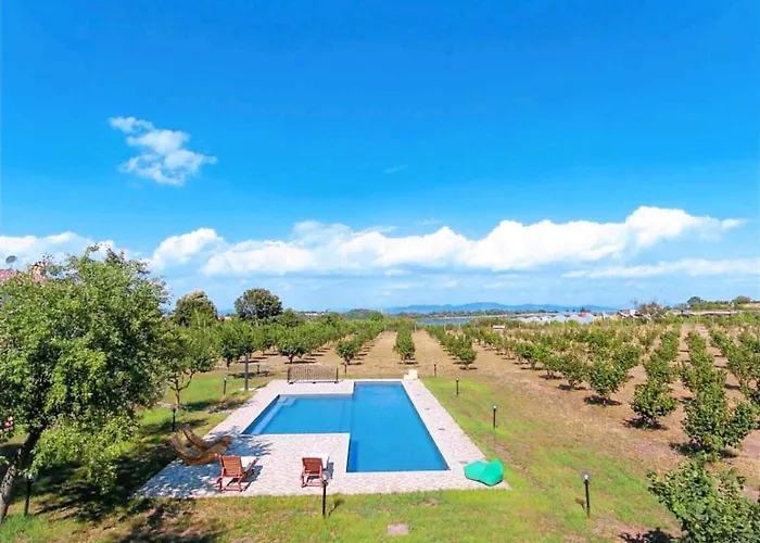 Domus Nirale * Bagnoregio